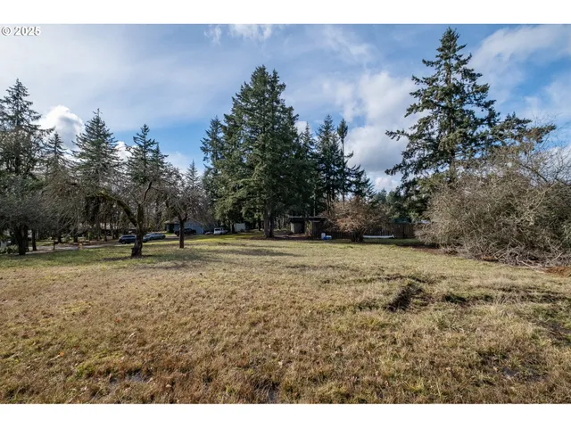 a view of a yard with a tree
