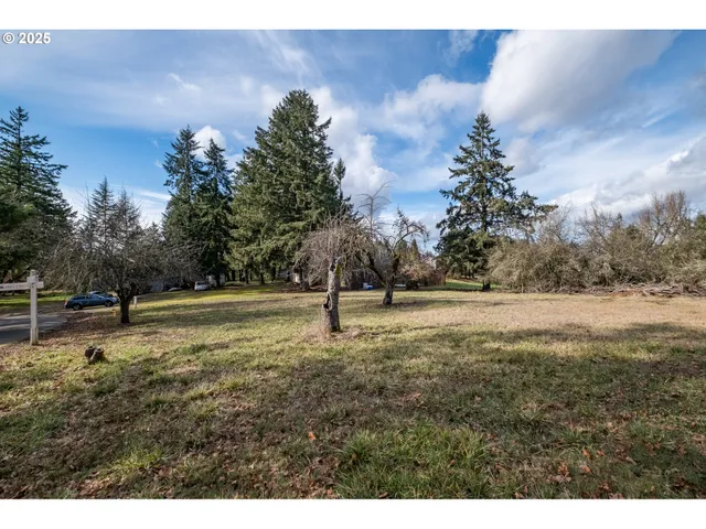 a view of backyard with green space