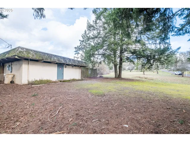 a view of outdoor space with garden and entertaining space