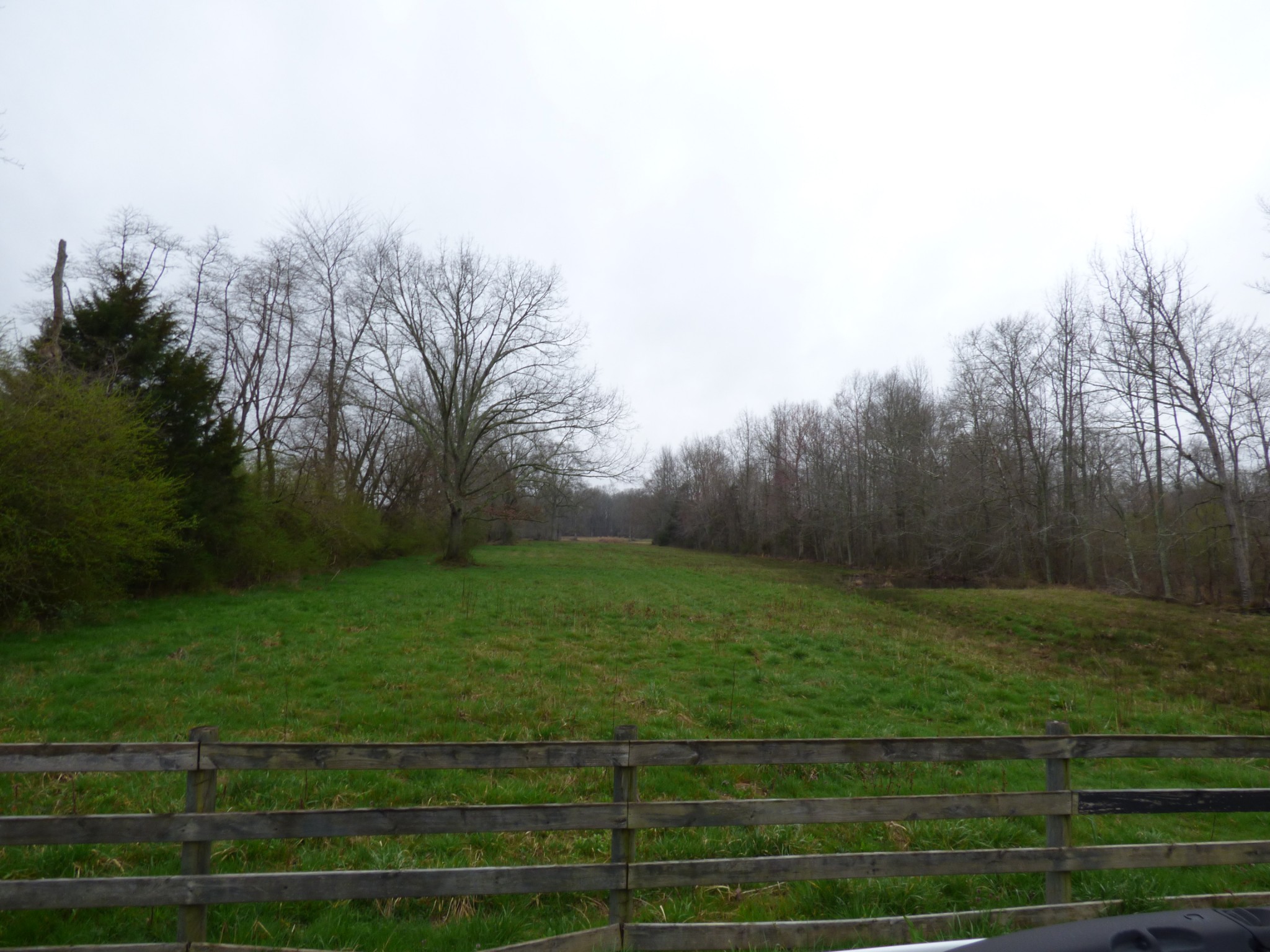 37 Harbin Road Fayetteville, TN 37334 - Photo 1 of 11 a view of a grassy field