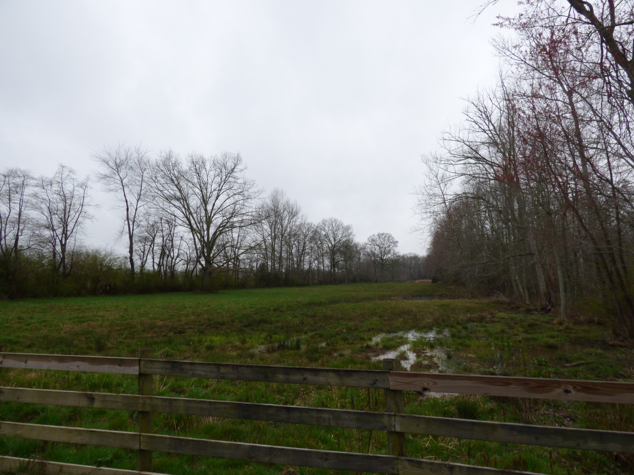 37 Harbin Road Fayetteville, TN 37334 - Photo 2 of 11 a view of a field with trees in background