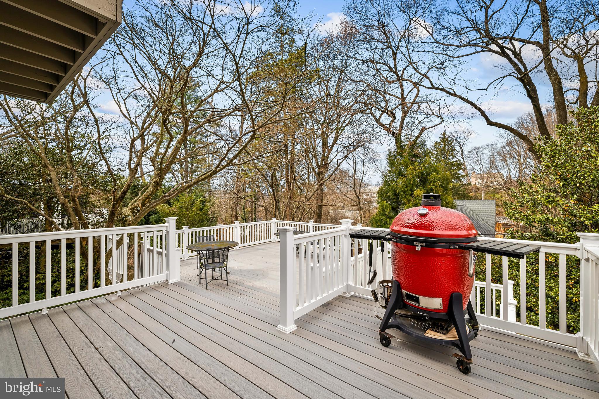 10 Midvale Road Baltimore, MD 21210 - Photo 64 of 73 Oversized ceramic grill and accessories convey