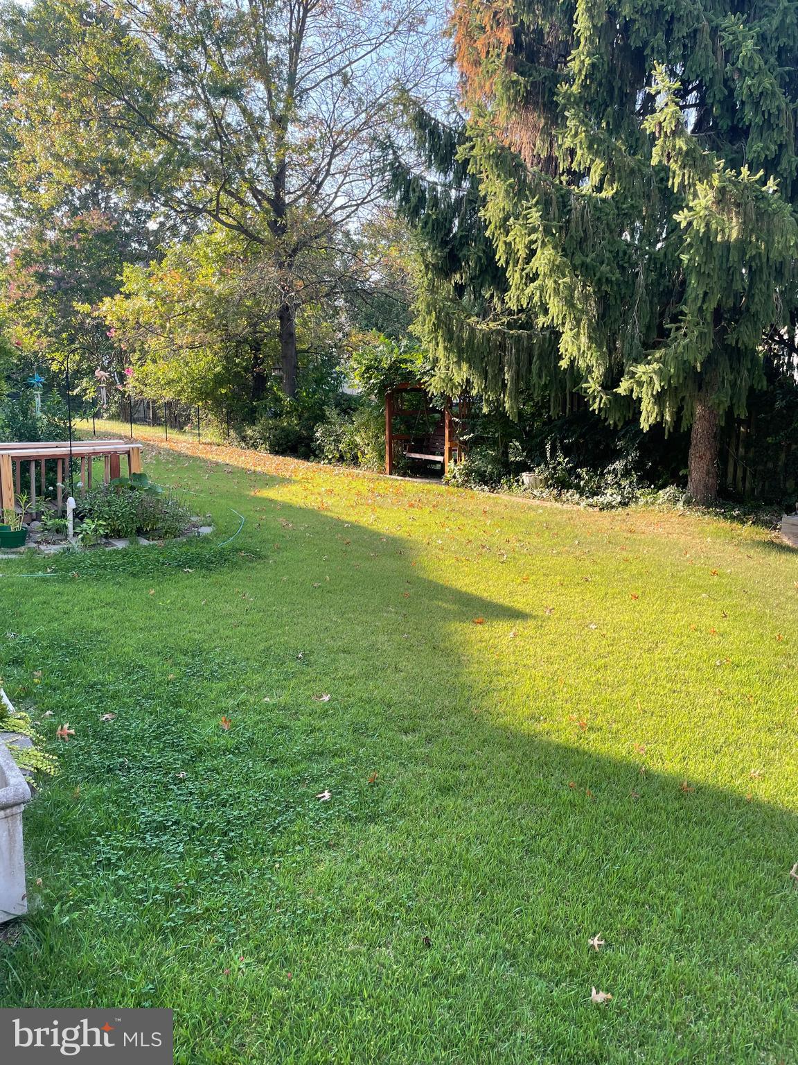 8104 Craddock Road Greenbelt, MD 20770 - Photo 3 of 4