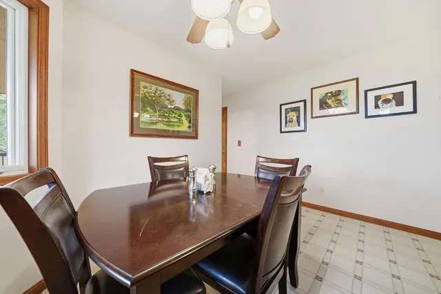 a view of a park with large trees