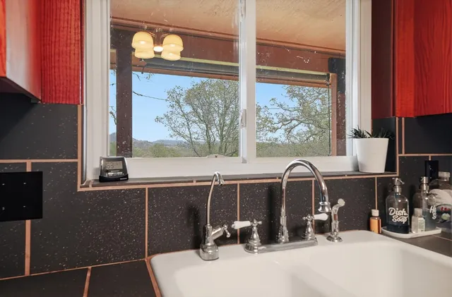 a view of a house with backyard and a tree