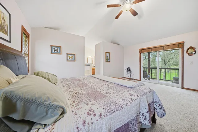 a view of a dry yard with green space