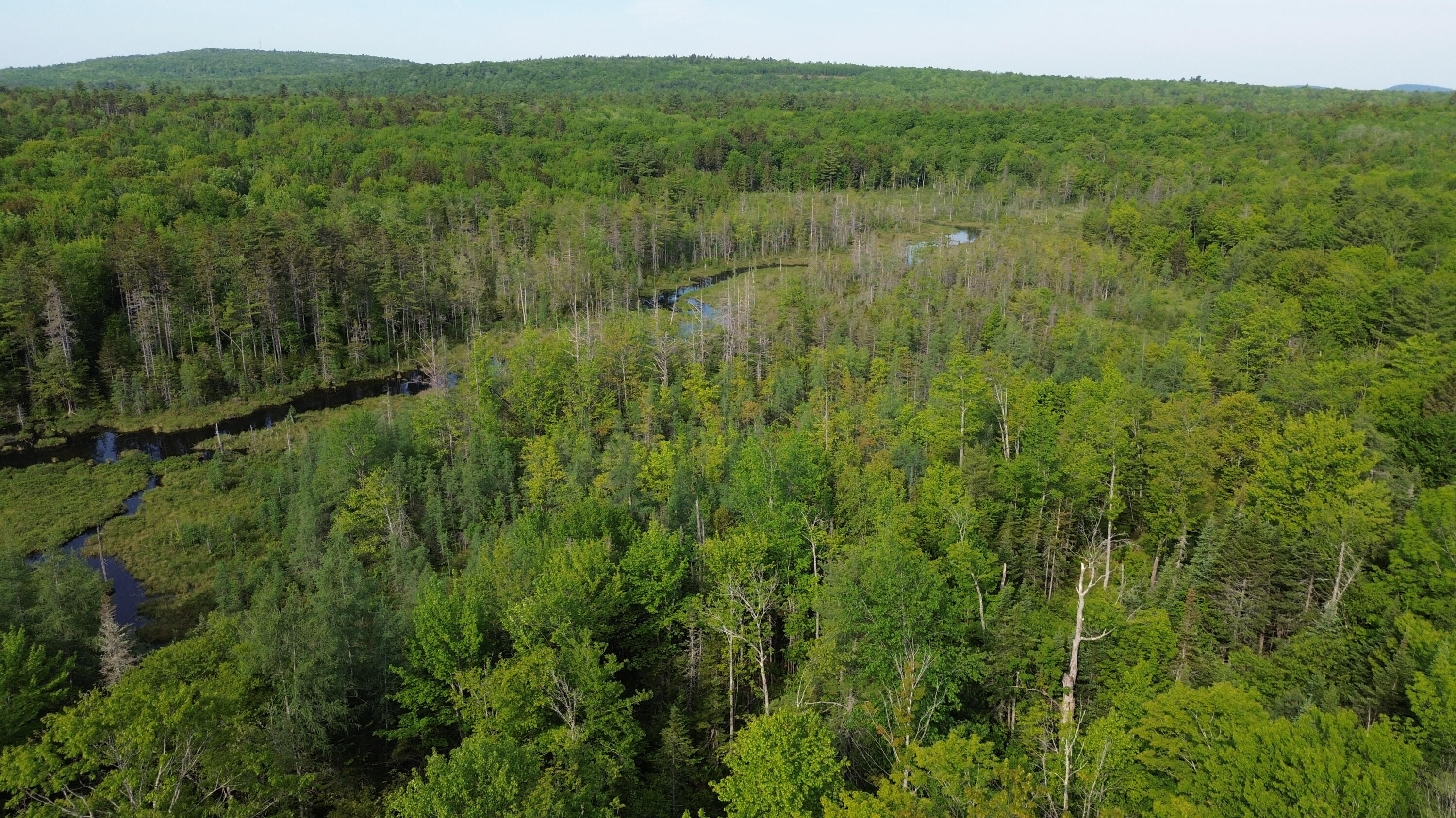 M5-l13 Clark Road Prospect, ME 04981 - Photo 10 of 33 DJI_0123