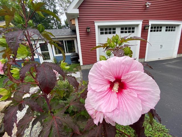 322 West Road Belgrade, ME 04917 - Photo 5 of 74 IMG_2410