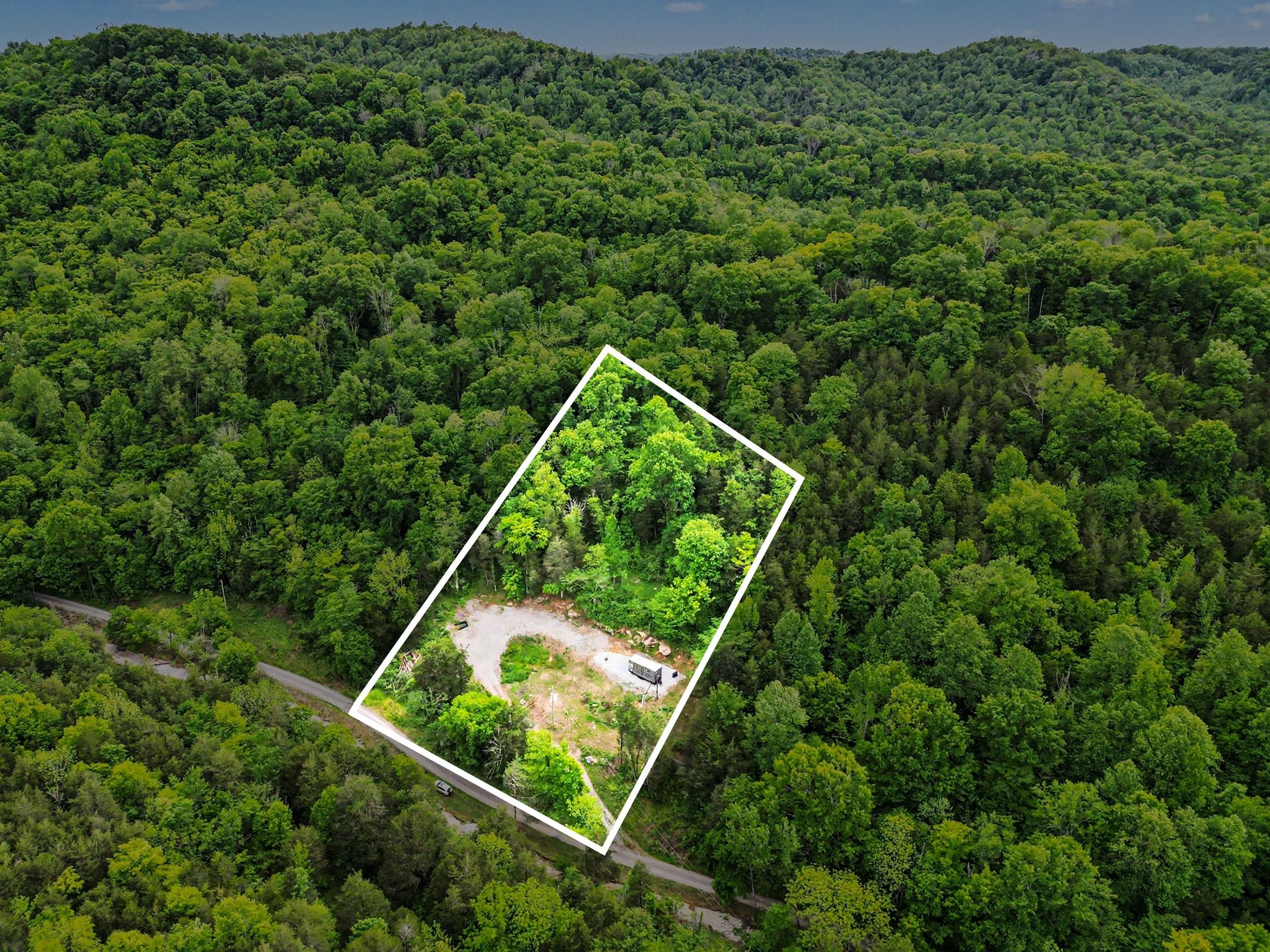 19167 Happy Hollow Road Buffalo Valley, TN 38548 - Photo 3 of 13 a view of a yard with potted plants and large trees