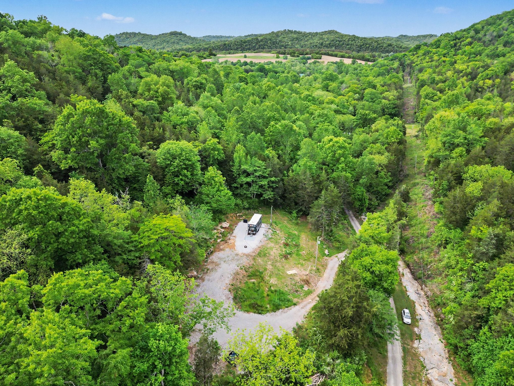 19167 Happy Hollow Road Buffalo Valley, TN 38548 - Photo 8 of 13 a view of a lush green forest with a houses