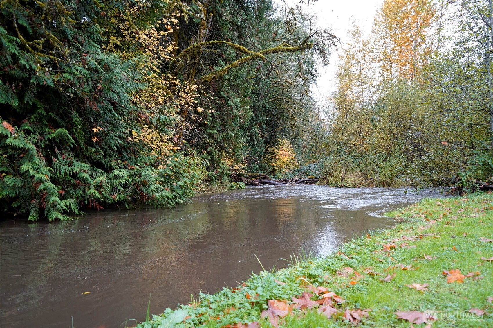 212 McGeary Road Kelso, WA 98626 - Photo 20 of 20 a view of a lake with a tree