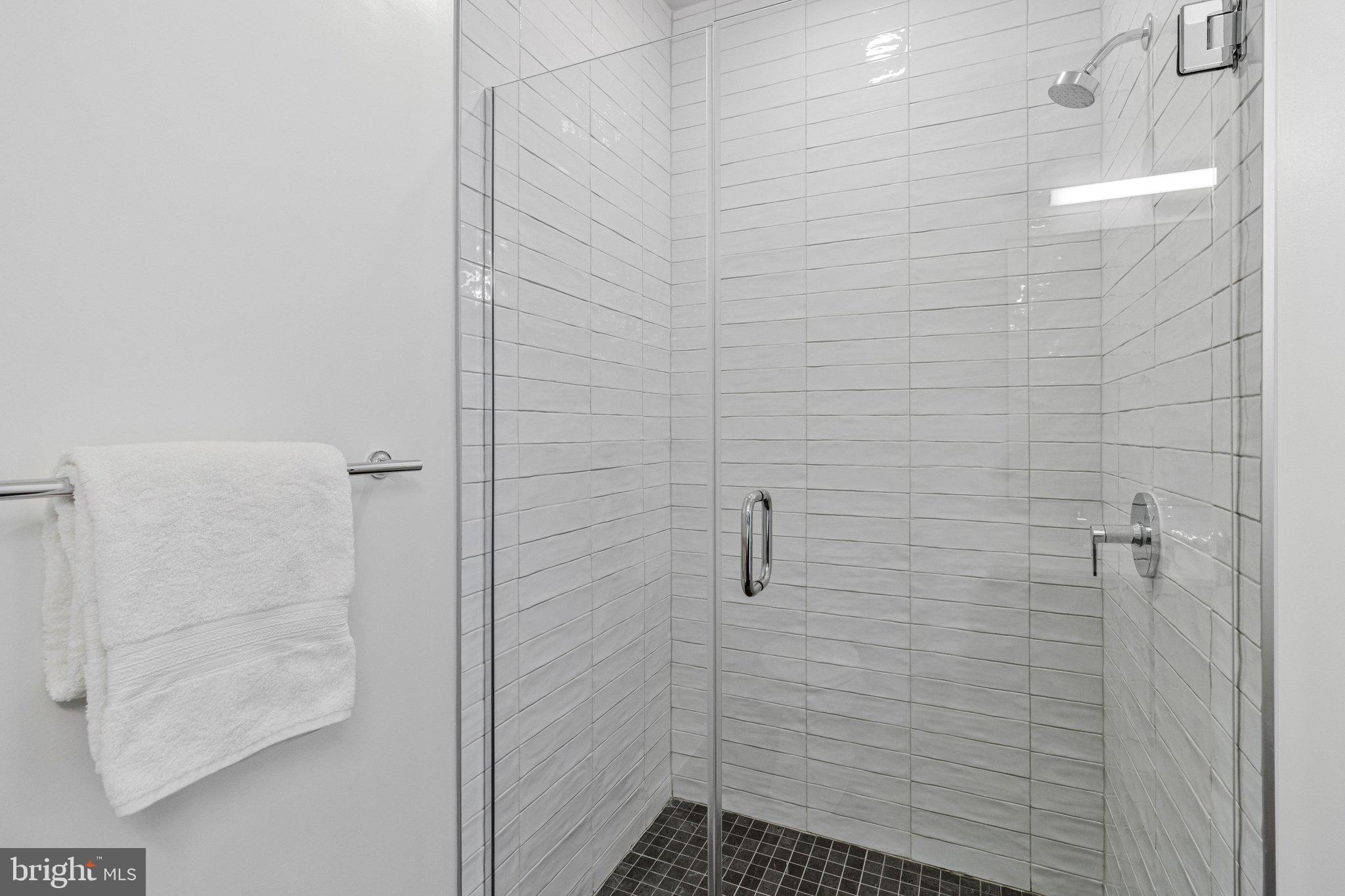 7175 12th Street Northwest, Unit 302 Washington, DC 20012 - Photo 24 of 60 Walk-in shower