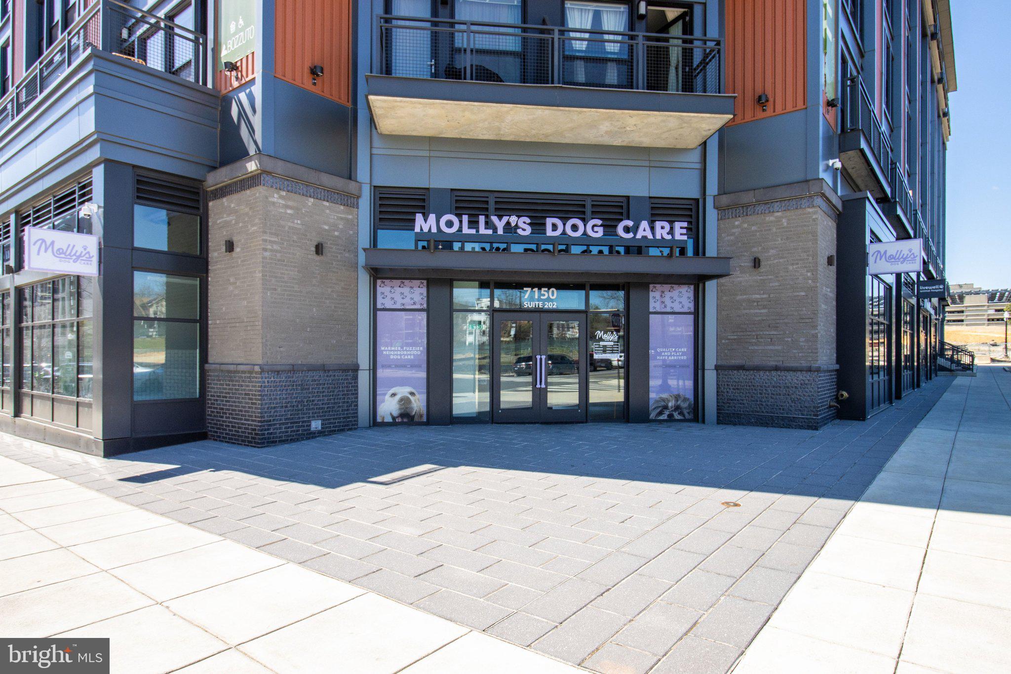 7175 12th Street Northwest, Unit 302 Washington, DC 20012 - Photo 56 of 60