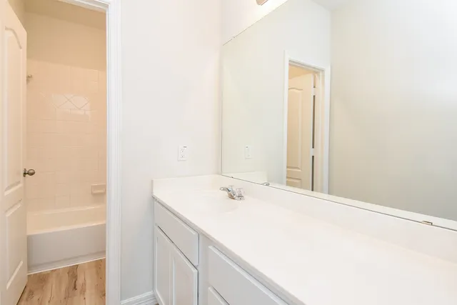 a bathroom with a sink and a mirror