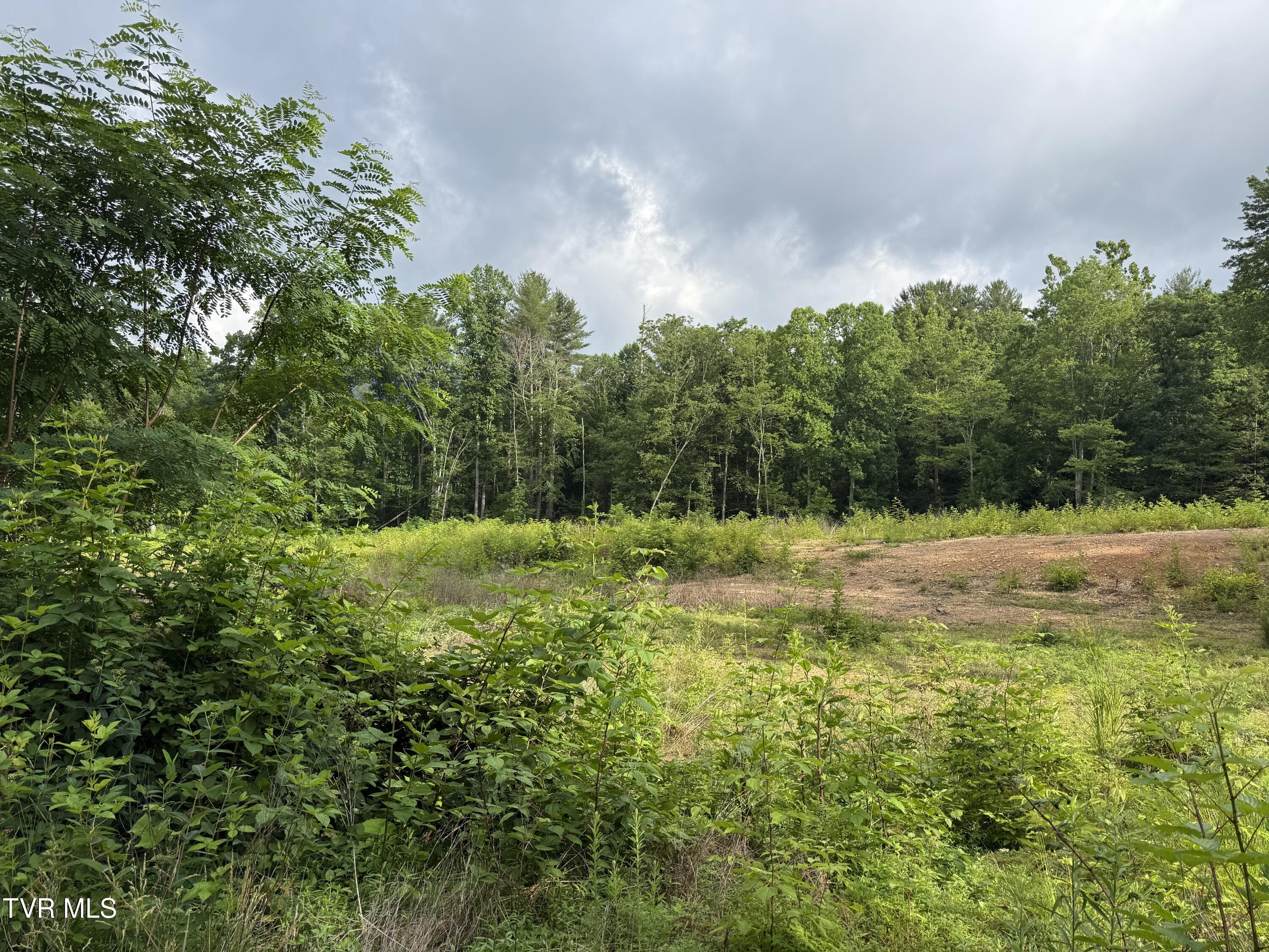Tbd Rhea Lane, Unit 57 & 58 Mountain City, TN 37683 - Photo 1 of 10 TBD Rhea Lane 3