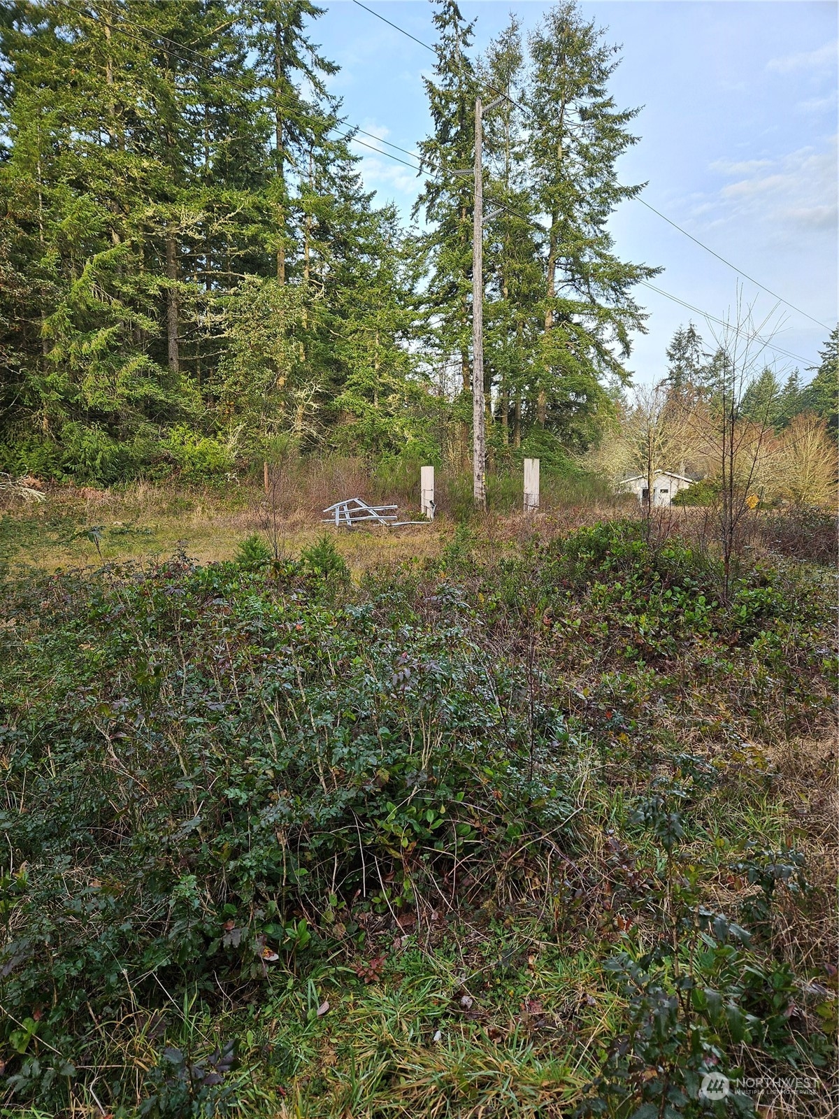 450 Theater Road Port Townsend, WA 98368 - Photo 3 of 13 Gallery Image 3