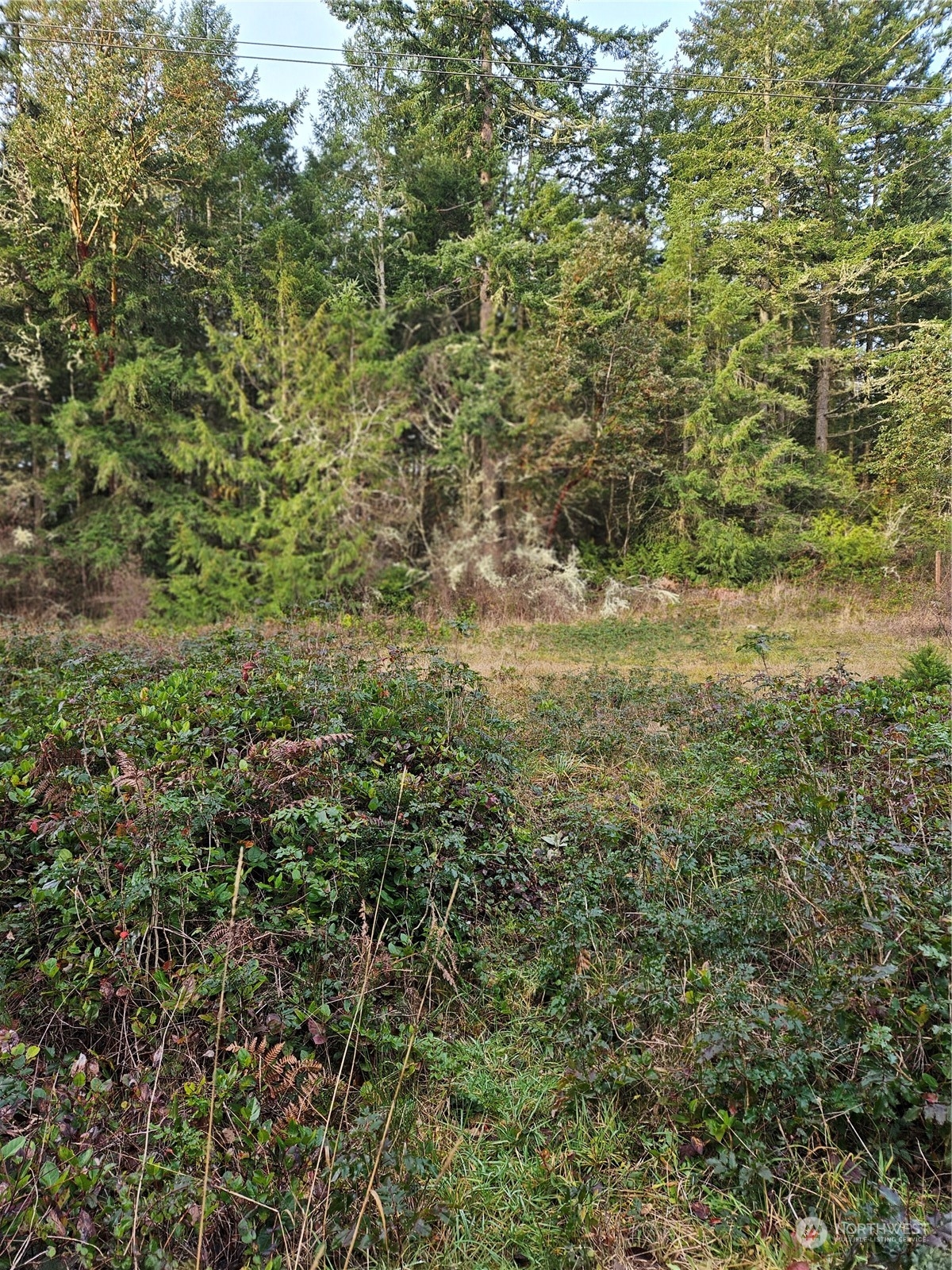 450 Theater Road Port Townsend, WA 98368 - Photo 4 of 13 Gallery Image 4