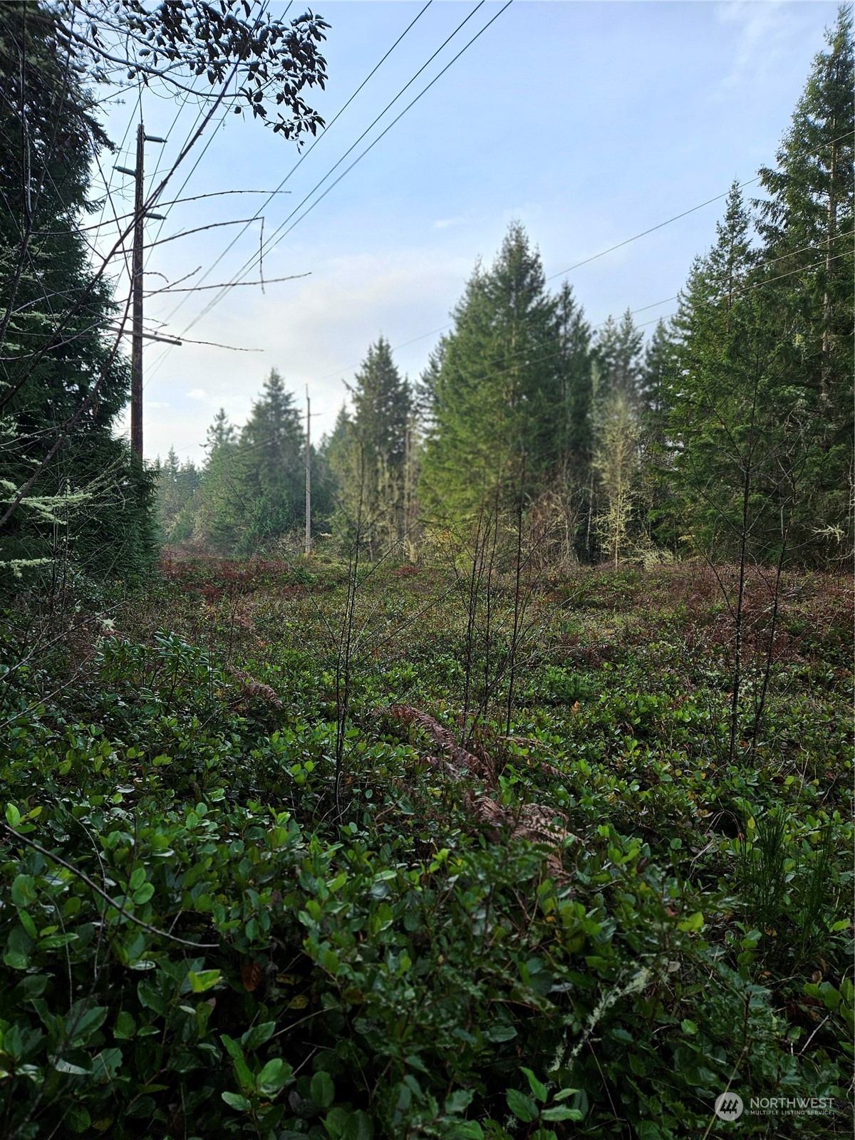 450 Theater Road Port Townsend, WA 98368 - Photo 5 of 13 Gallery Image 5