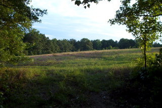 0 Rachel Rd Ridge Spring Johnston, SC 29832 - Photo 1 of 1