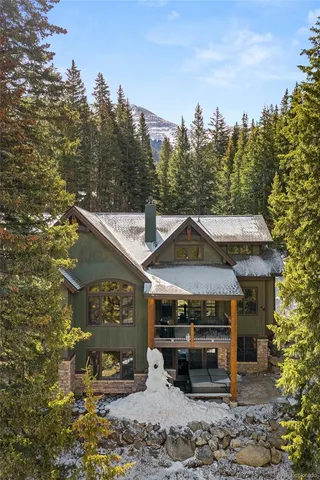 a view of a yard with plants