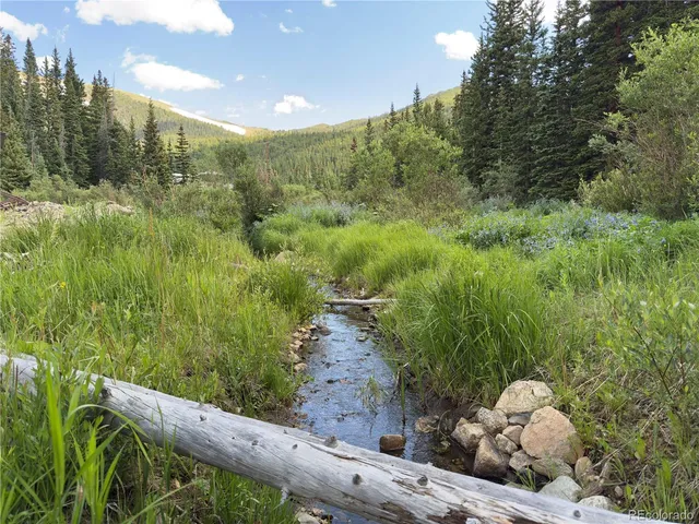 a view of a garden with plants
