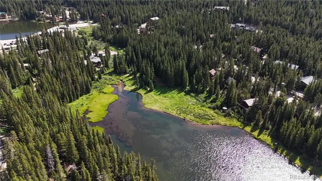 a view of a city with lush green forest