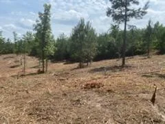 $15,900 | 0 Englewood Drive, Abbeville, AL 36310