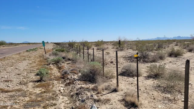 a view of a dry yard with mountain view