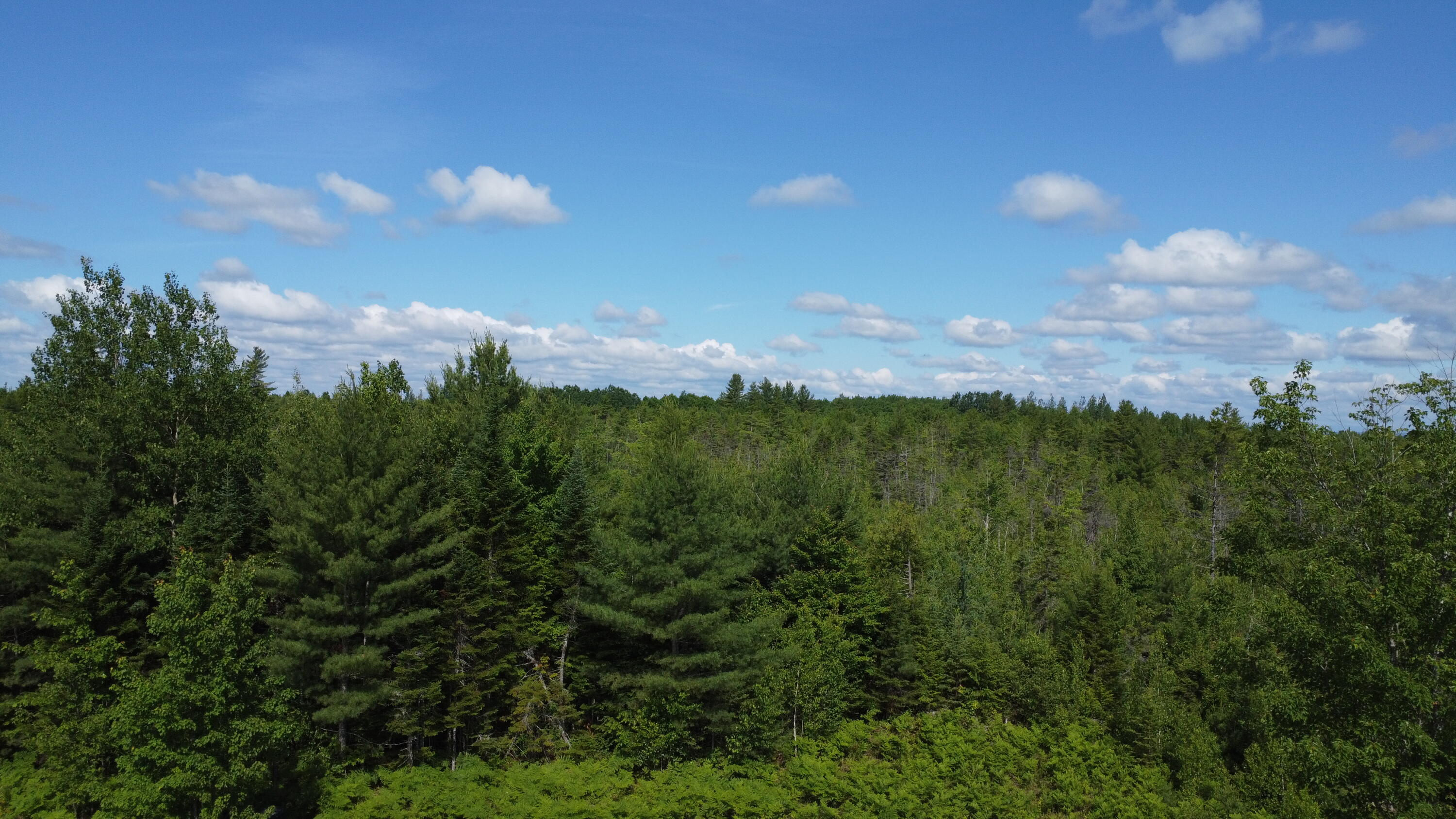 30-007 Cardville Road Greenbush, ME 04418 - Photo 14 of 19 DJI_0075