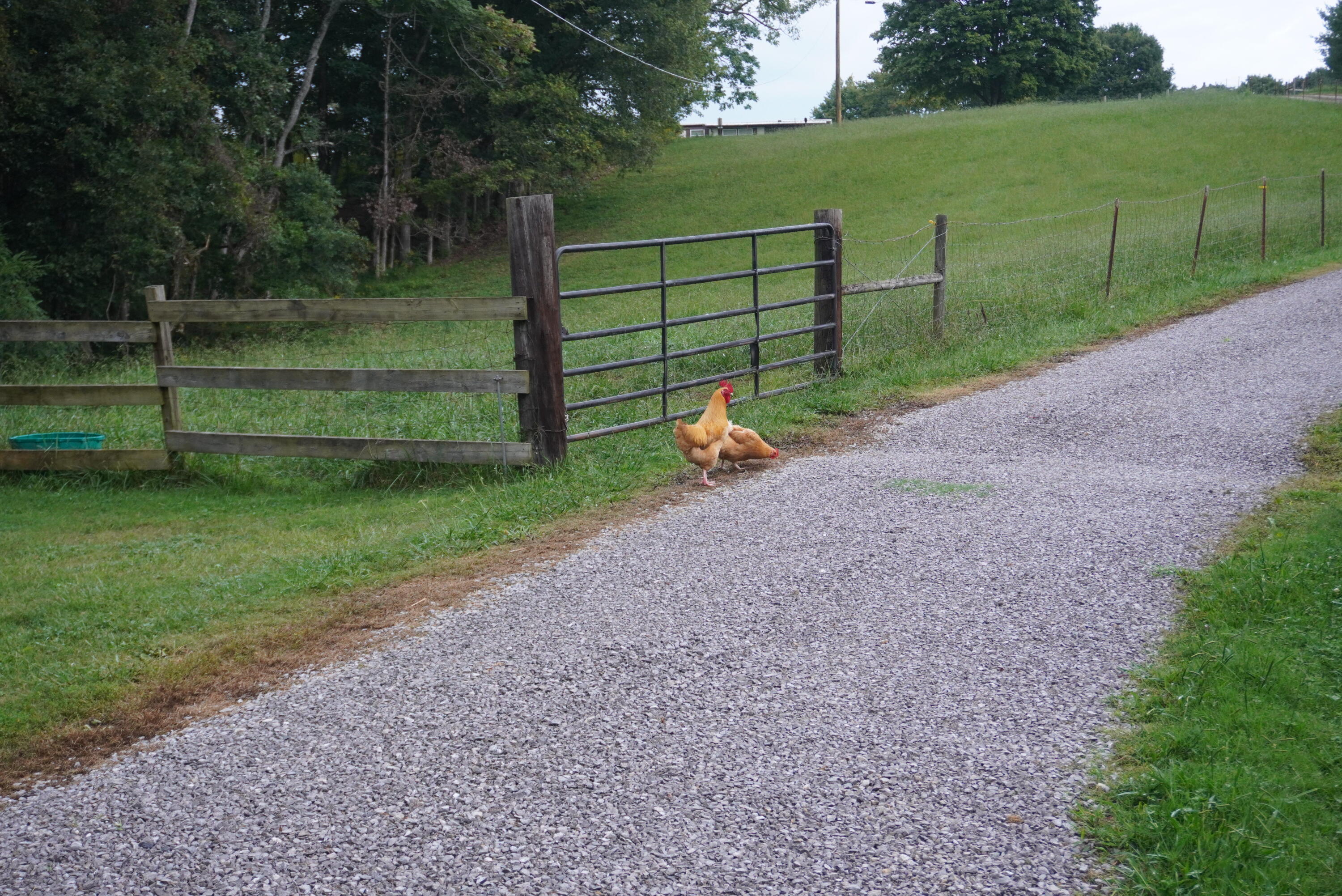 813 Lebanon Road Jefferson City, TN 37760 - Photo 37 of 40 lebanon - hydes (83)