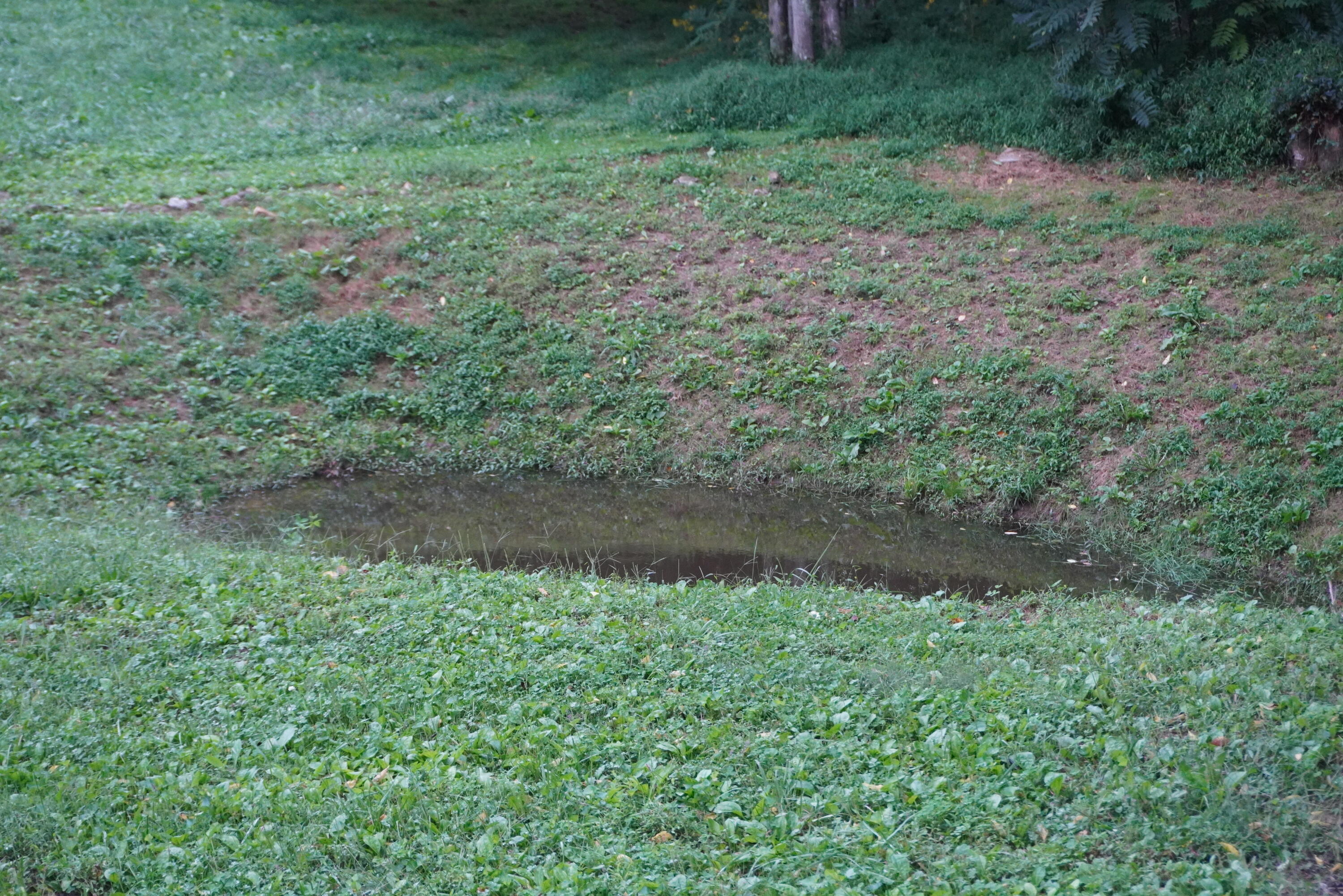 813 Lebanon Road Jefferson City, TN 37760 - Photo 39 of 40 lebanon - hydes (81)