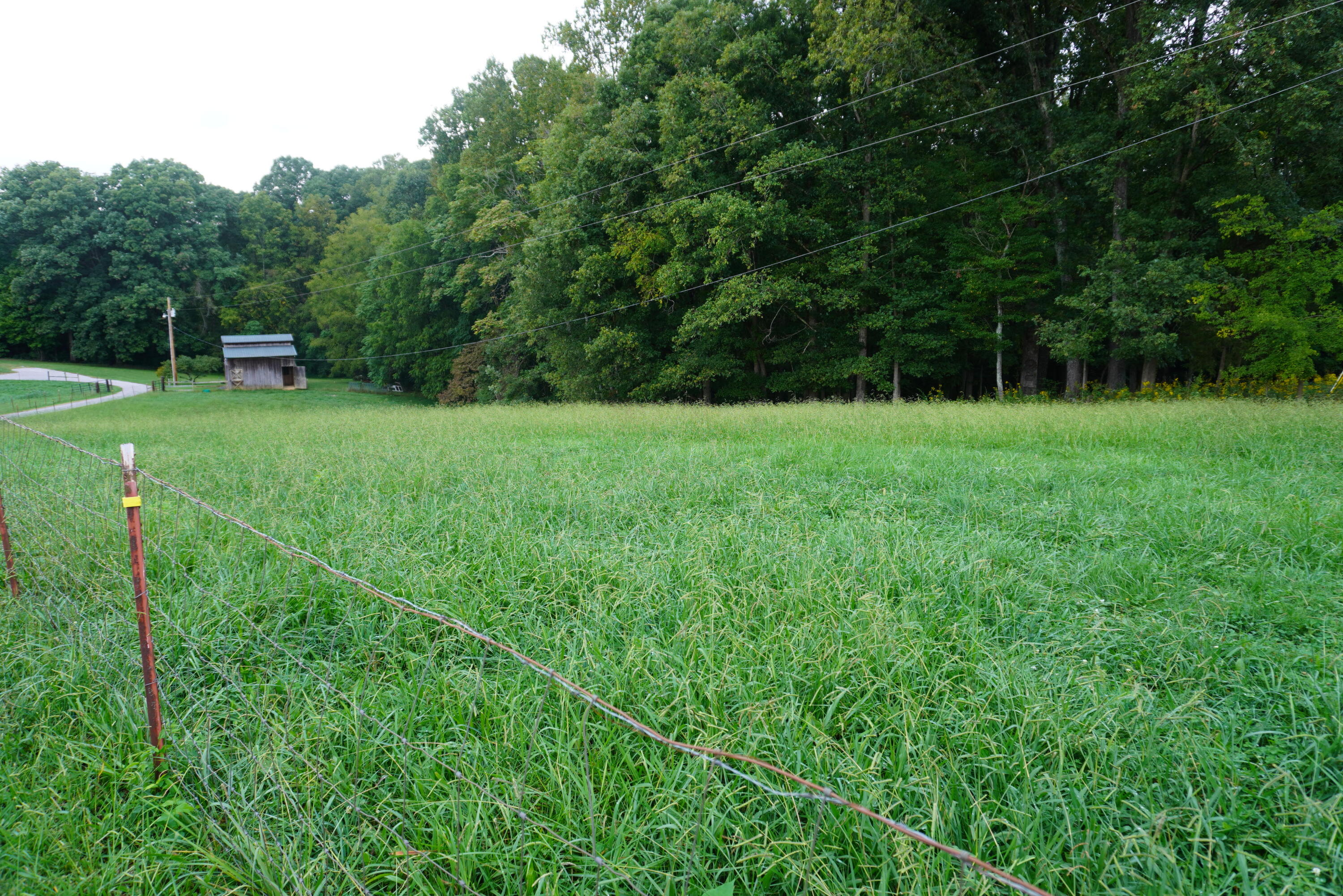 813 Lebanon Road Jefferson City, TN 37760 - Photo 40 of 40 lebanon - hydes (39)