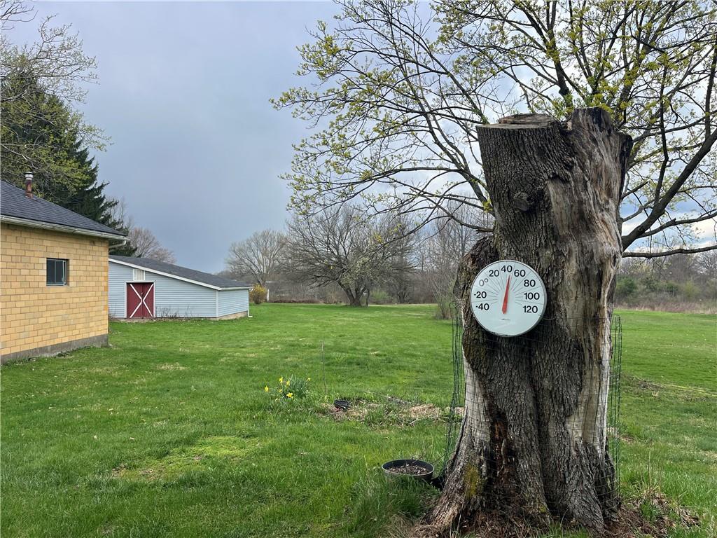 2411 Mill Bridge Road New Castle, PA 16101 - Photo 19 of 19 Yard