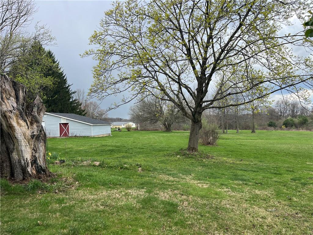 2411 Mill Bridge Road New Castle, PA 16101 - Photo 5 of 19 Yard