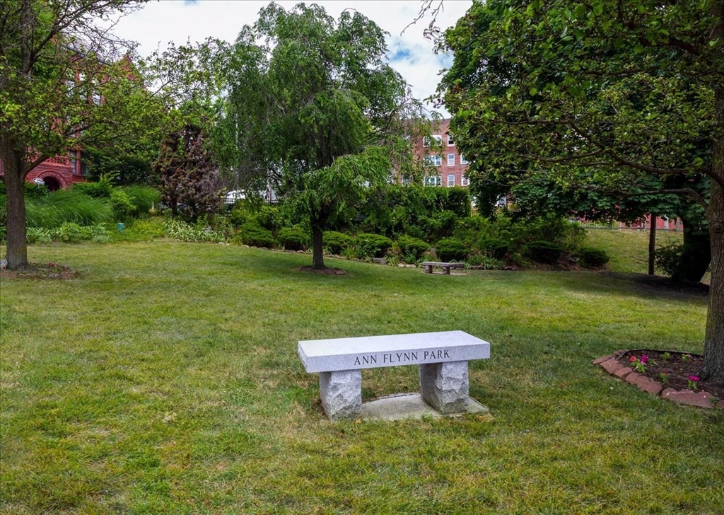 6 Chatham Place, Unit 6 Worcester, MA 01609 - Photo 30 of 31 a swimming pool with big trees and a small yard
