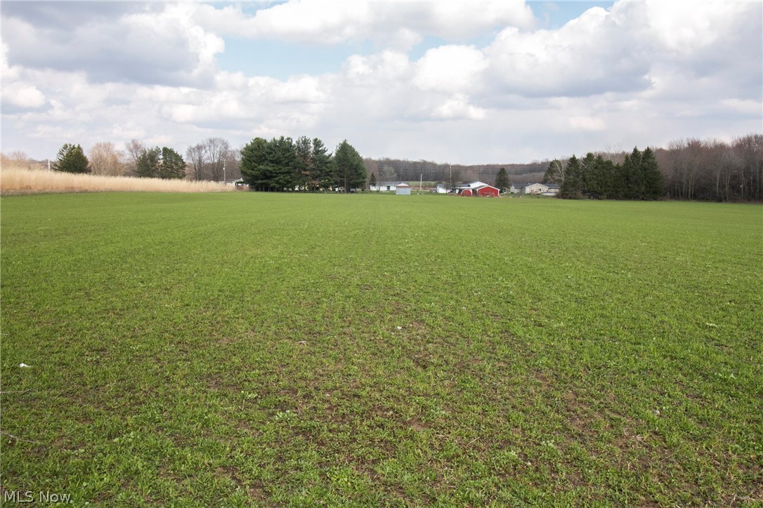 Chapel Road Ashtabula, OH 44004 - Photo 22 of 26 Gallery Image 22