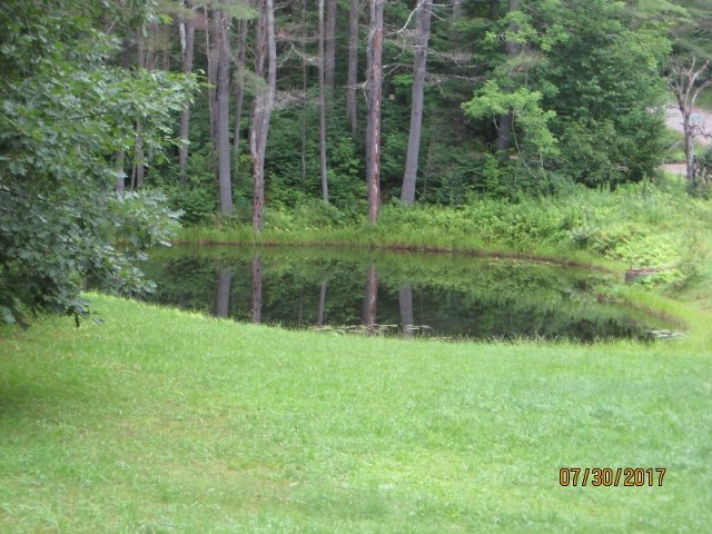 2145 Tarbell Hill Road Cavendish, VT 05142 - Photo 3 of 21