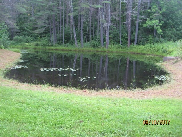 2145 Tarbell Hill Road Cavendish, VT 05142 - Photo 4 of 21
