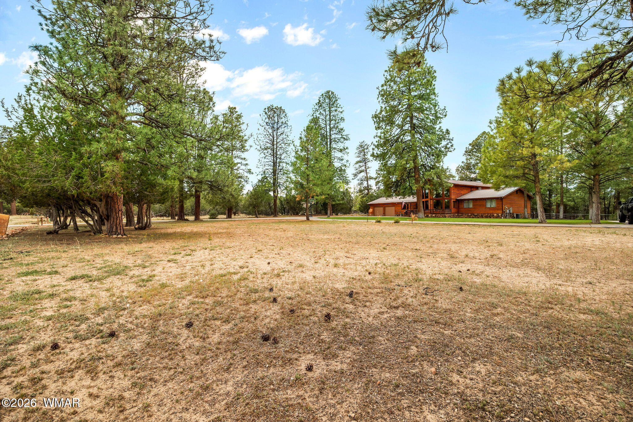 2922 Pine Rim Road Overgaard, AZ 85933 - Photo 4 of 58 a view of outdoor space with trees