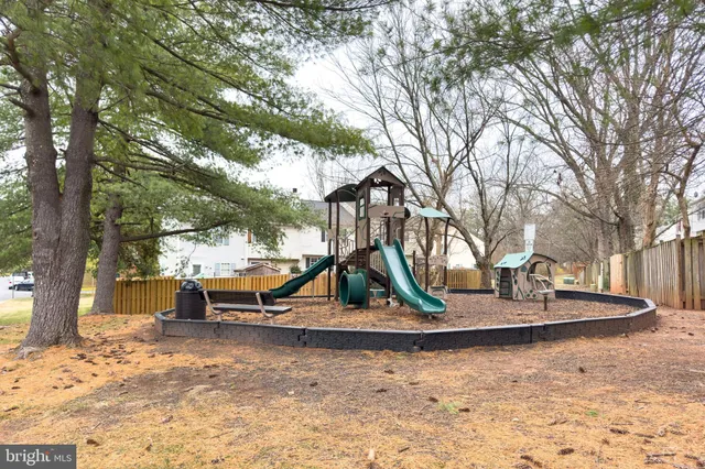 a view of park with large trees