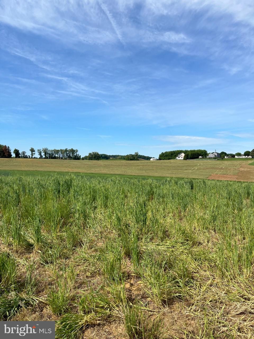 Lot 3 Uniontown Road Westminster, MD 21158 - Photo 9 of 20 Peace and tranquility await