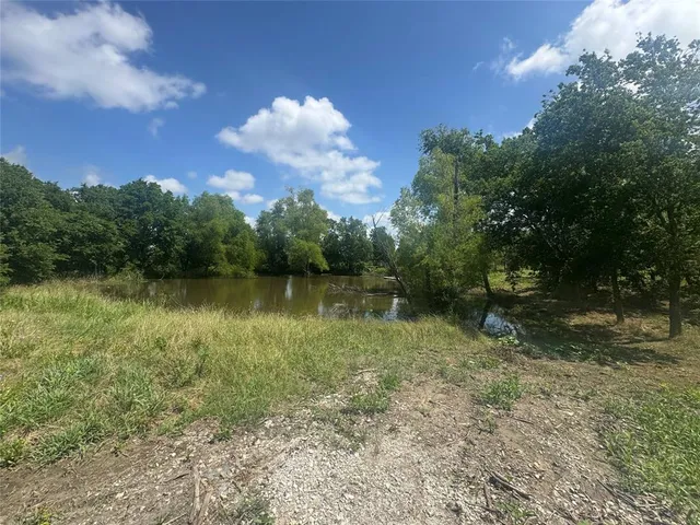 a view of a tree in a yard