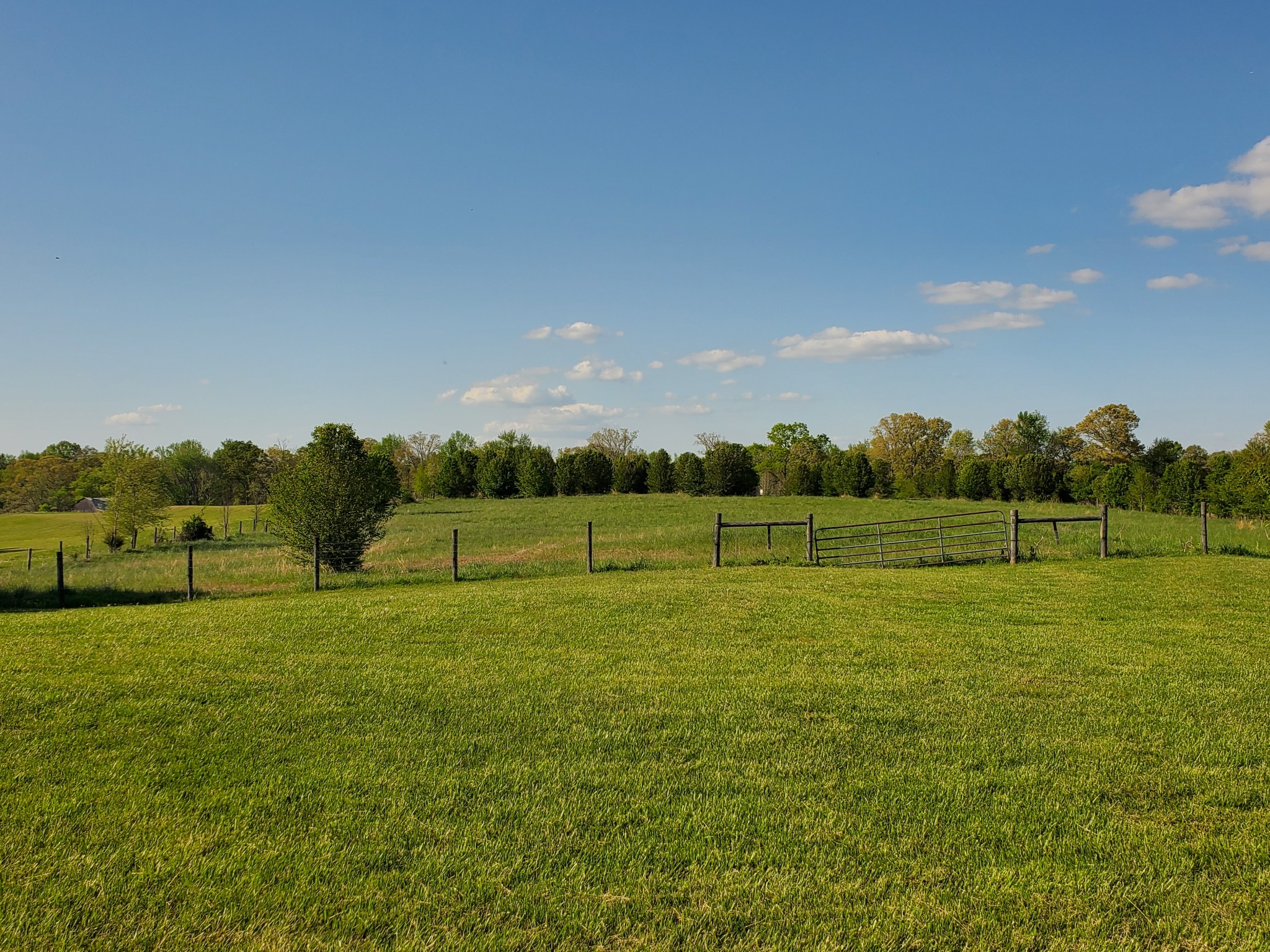 34 Watermill Road Flintville, TN 37335 - Photo 4 of 25