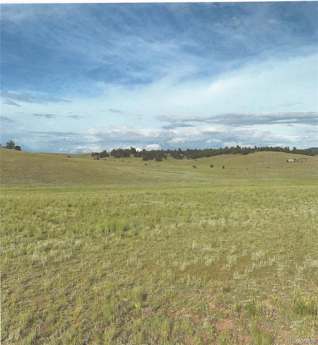 6298 Elkhorn Road Hartsel, CO 80449 - Photo 1 of 9