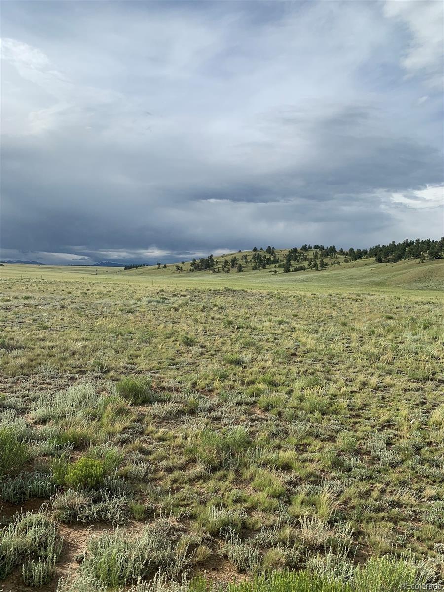 6298 Elkhorn Road Hartsel, CO 80449 - Photo 2 of 9