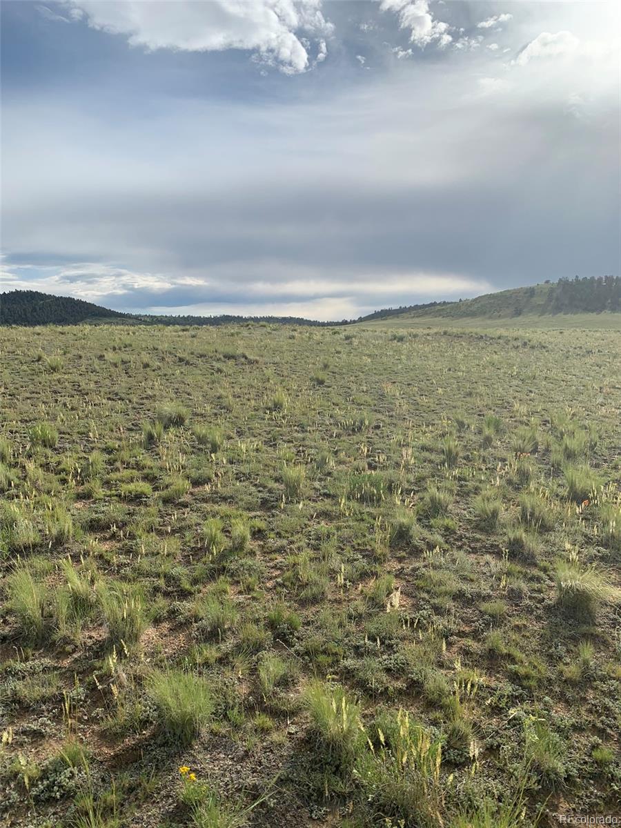 6298 Elkhorn Road Hartsel, CO 80449 - Photo 3 of 9