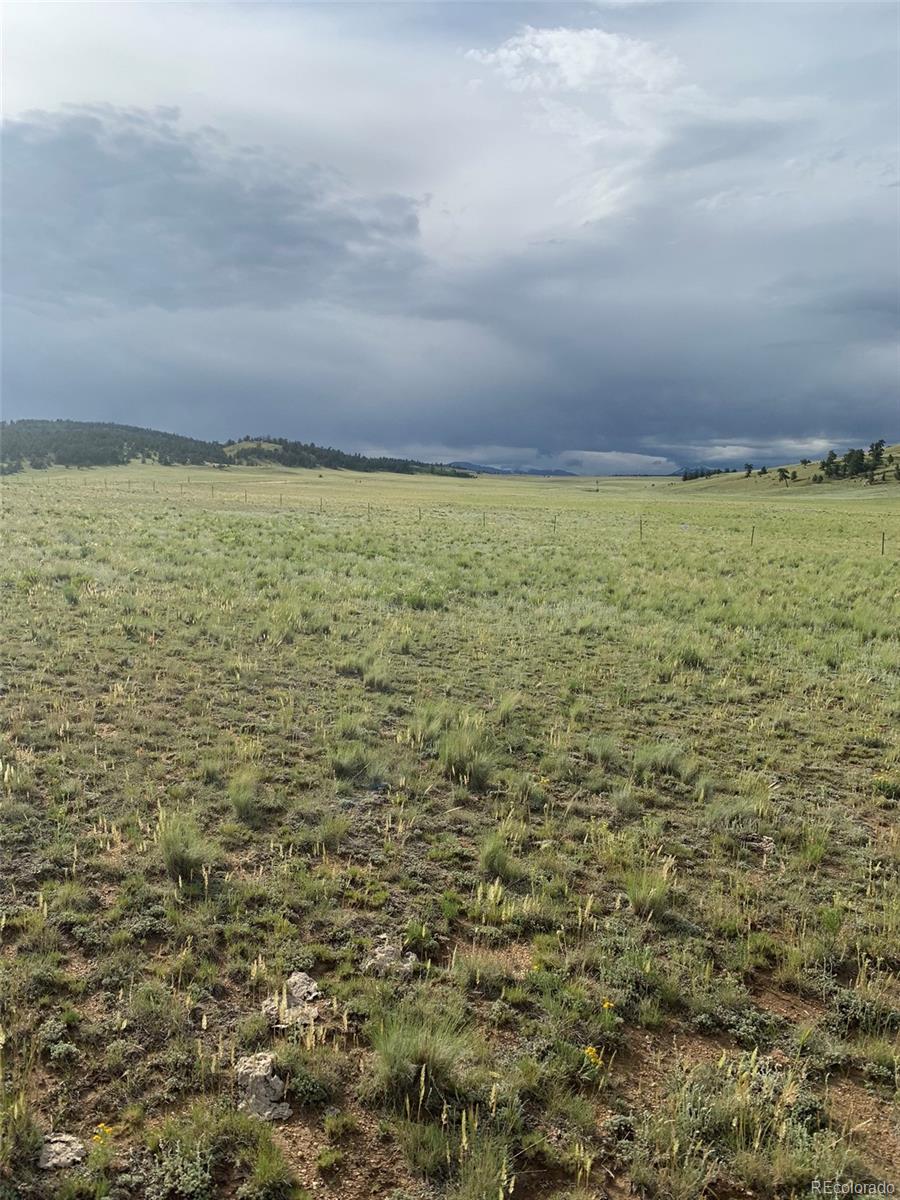 6298 Elkhorn Road Hartsel, CO 80449 - Photo 4 of 9