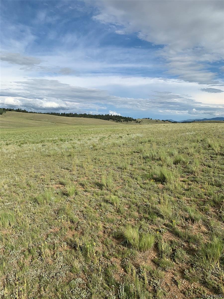 6298 Elkhorn Road Hartsel, CO 80449 - Photo 5 of 9