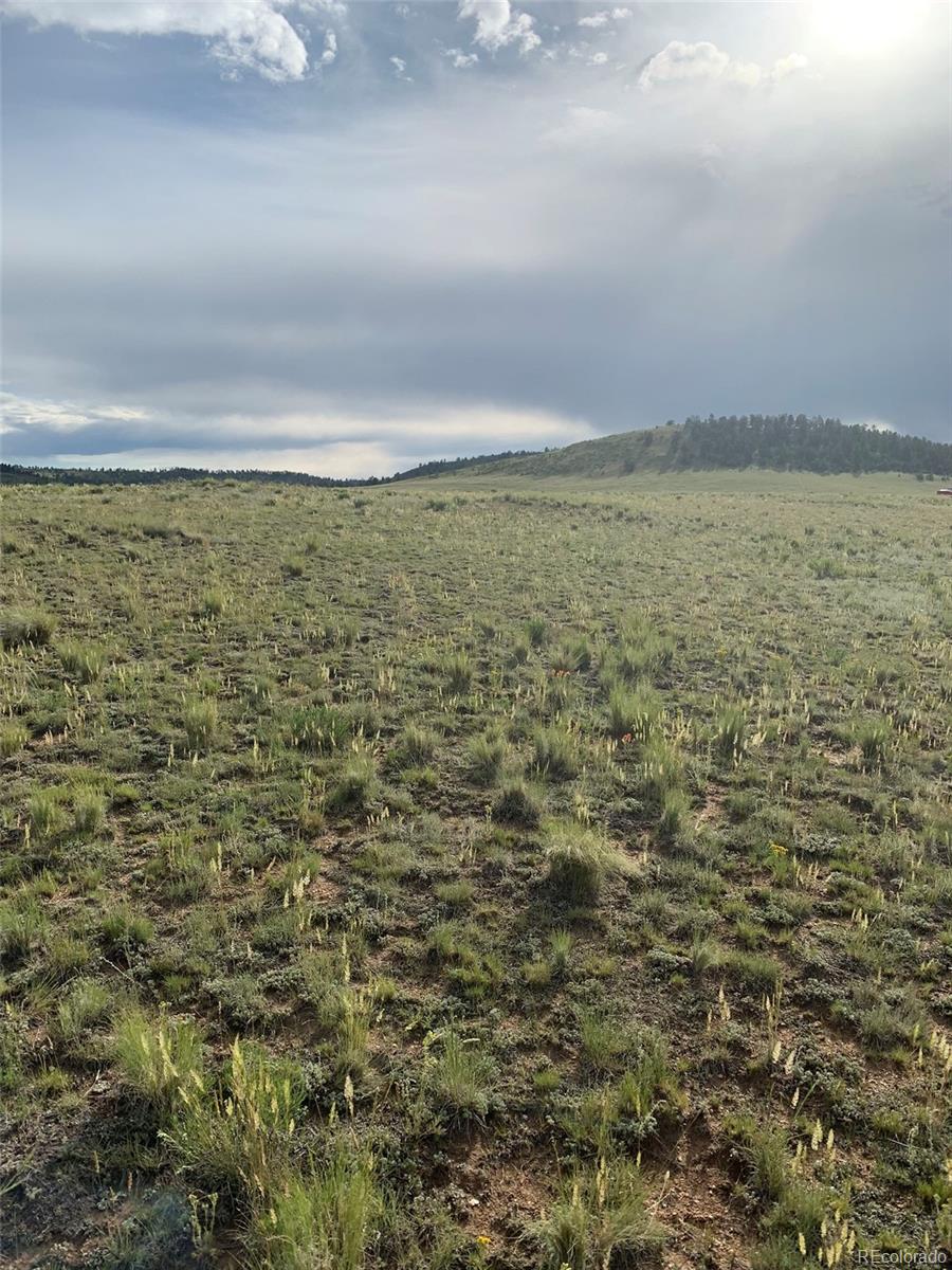 6298 Elkhorn Road Hartsel, CO 80449 - Photo 7 of 9