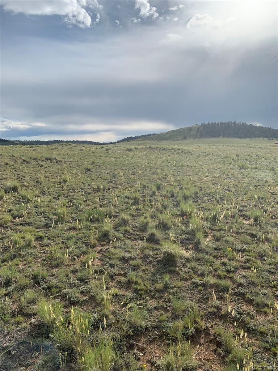 6298 Elkhorn Road Hartsel, CO 80449 - Photo 8 of 9